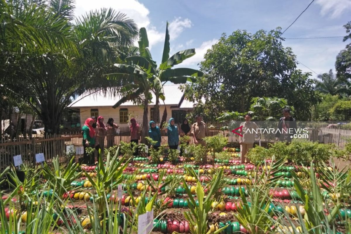 Dinkes dorong warga Mukomuko manfaatkan tanaman obat keluarga