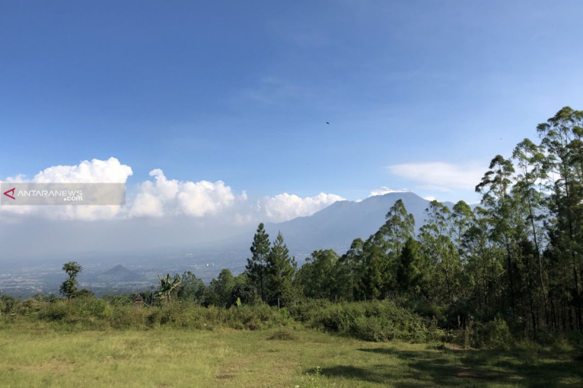 UB Forest berencana kembangkan kawasan hutan untuk wisata edukasi