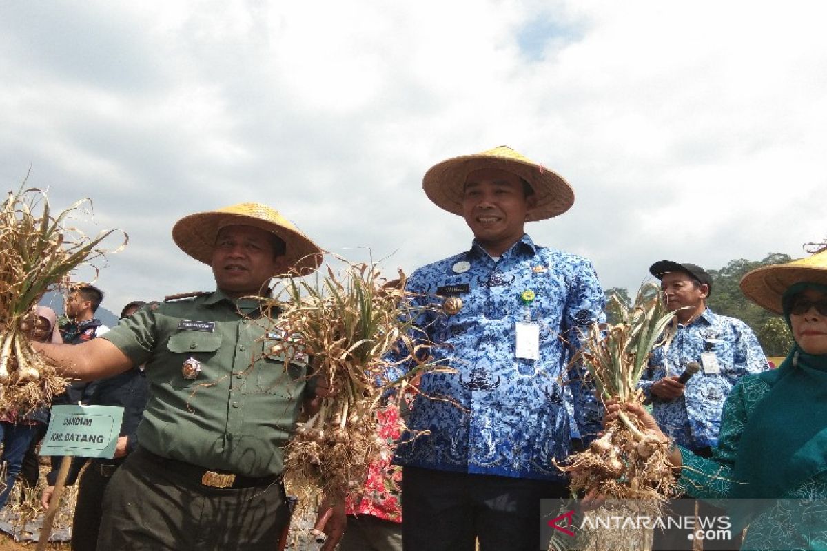 Pemkab Batang dorong petani melakukan budi daya bawang putih