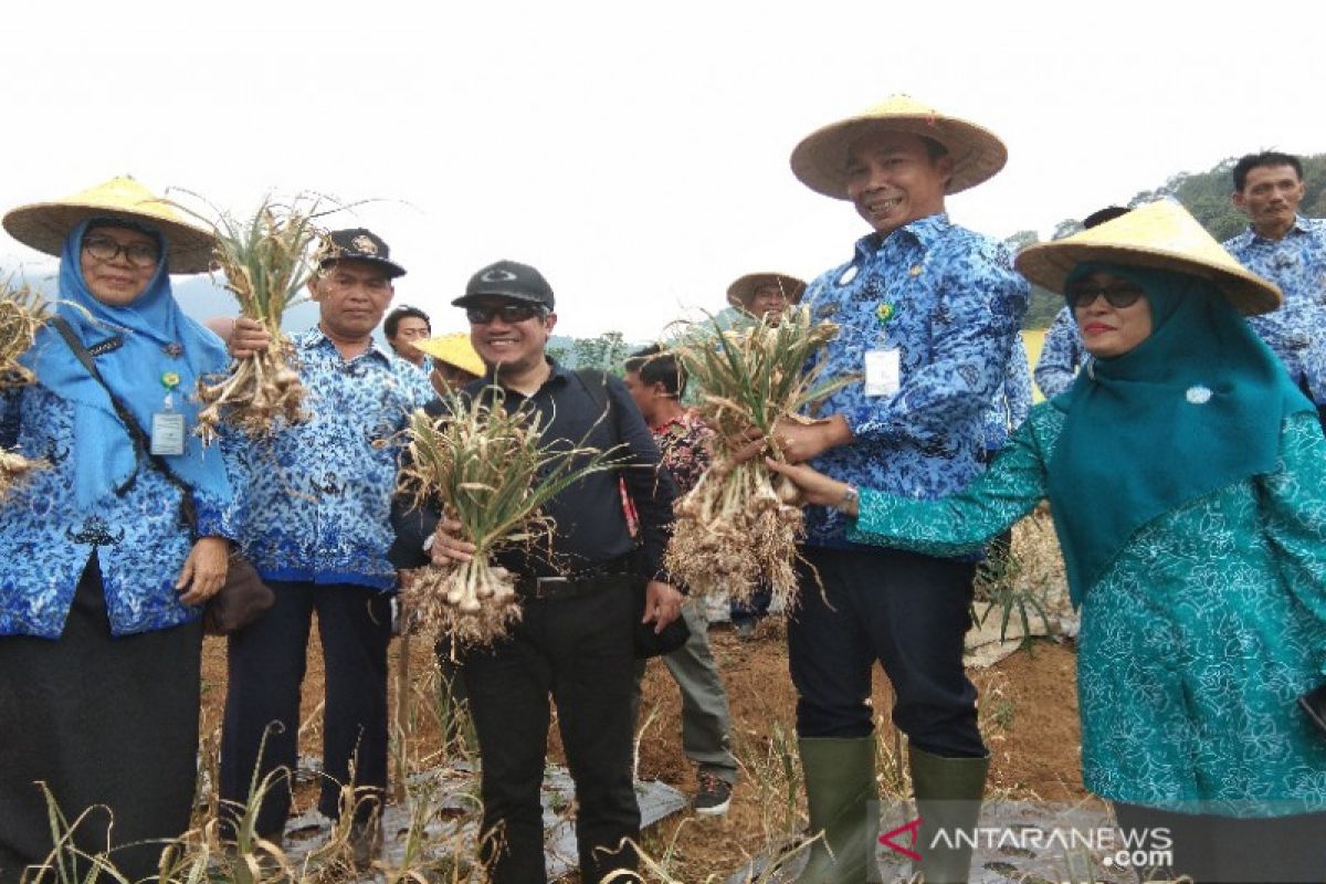 Sukses kembangkan bawang putih, Kementan apresiasi Pemkab Batang