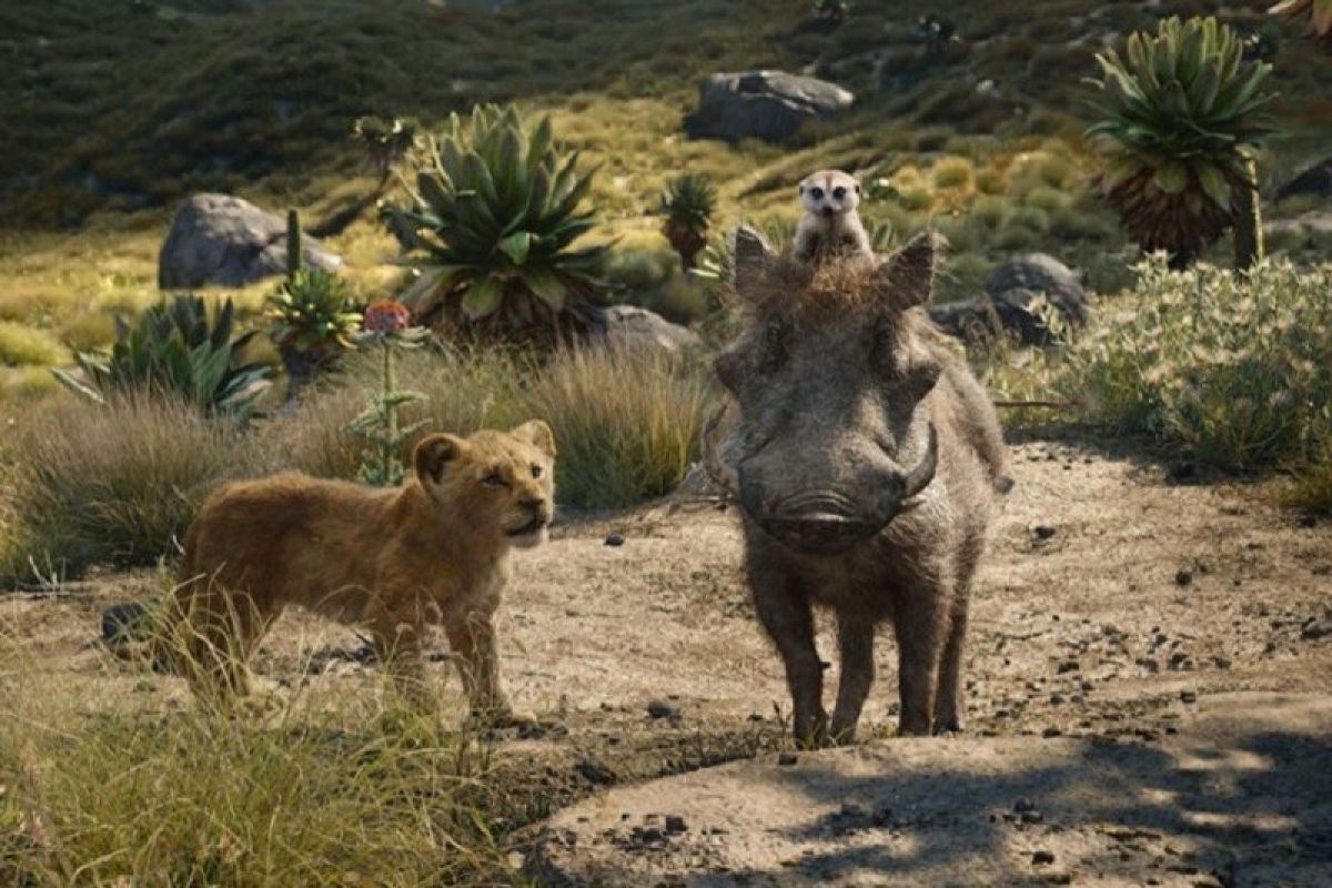 Film "The Lion King", nuansa nyata dalam kisah Raja Rimba merebut kejayaan