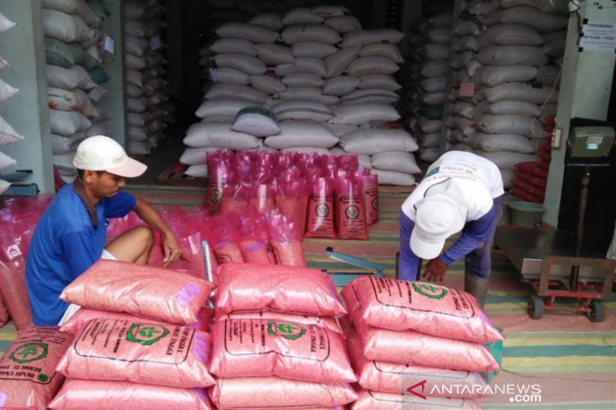 Bantul mengajukan bantuan benih padi varietas umur pendek