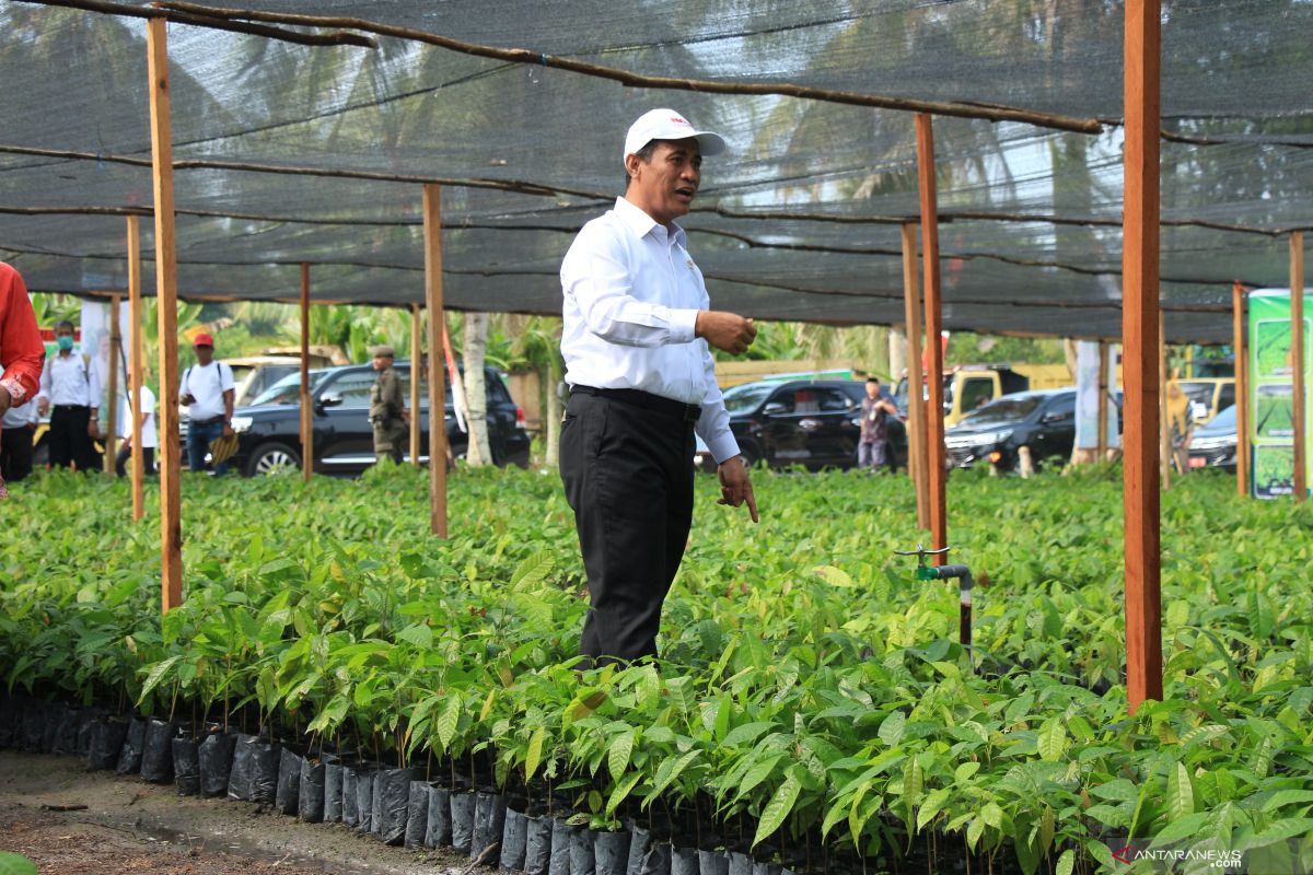 Menteri Pertanian ingin bangun industri coklat di Kalteng