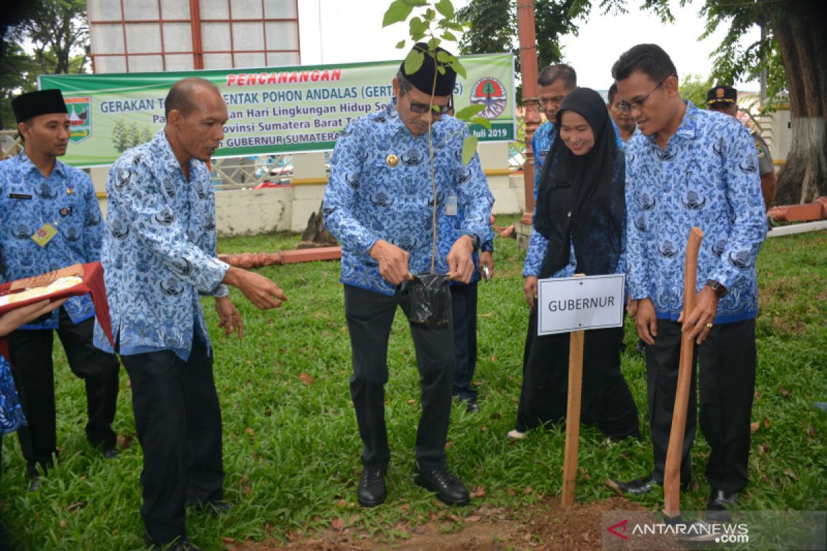 Pemprov tanam 500 pohon Andalas untuk melestarikan flora endemik Sumbar