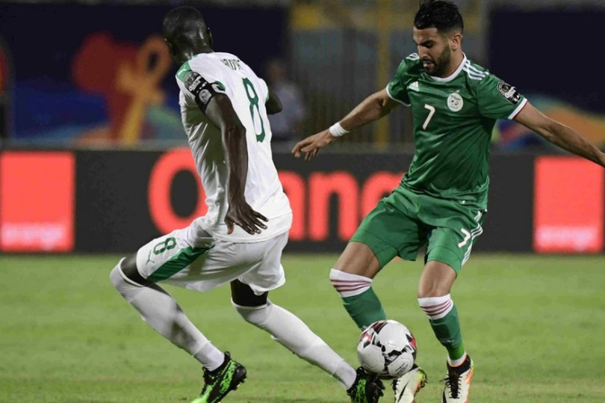 Aljazair dan Senegal, ini fakta finalis final Piala Afrika 2019
