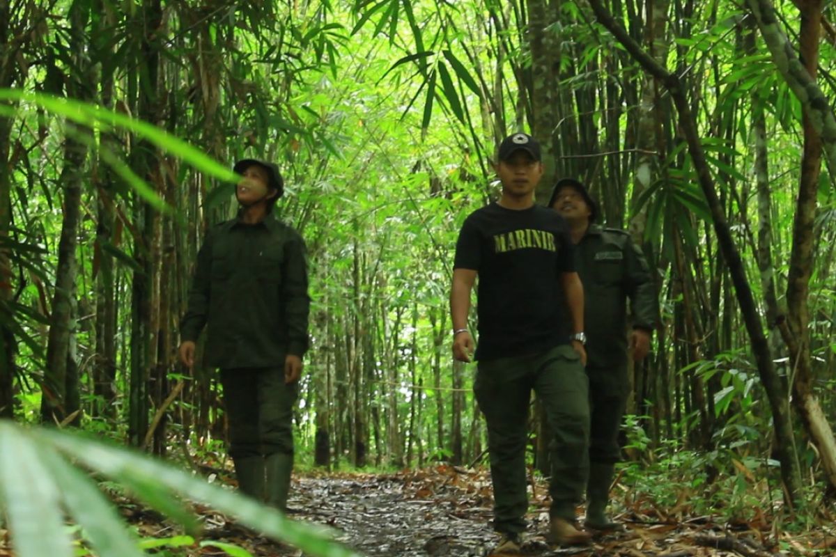 Hutan Desa Rio Kemunyang, penjaga sembilan mata air