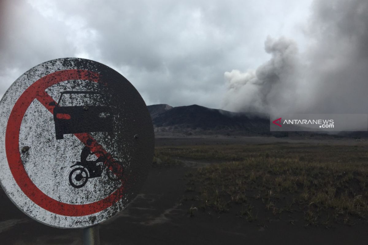 Abu vulkanik Gunung Bromo mengarah ke Malang