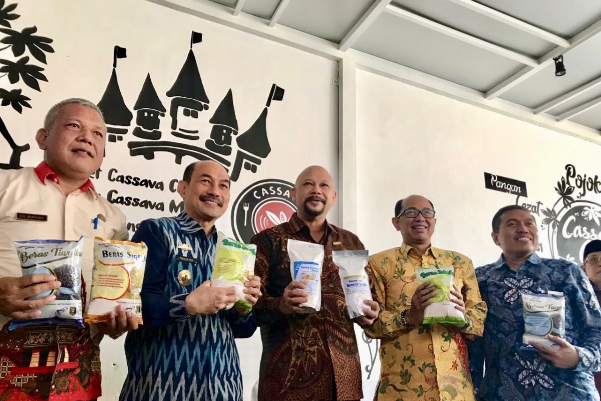 BPPT buka Cassava Castle promosikan pangan hasil Technopark Lampung Tengah