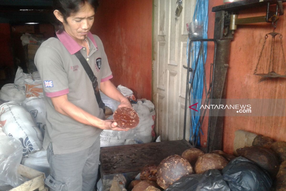 Kemarau pengaruhi turunnya produksi gula aren Rejang Lebong