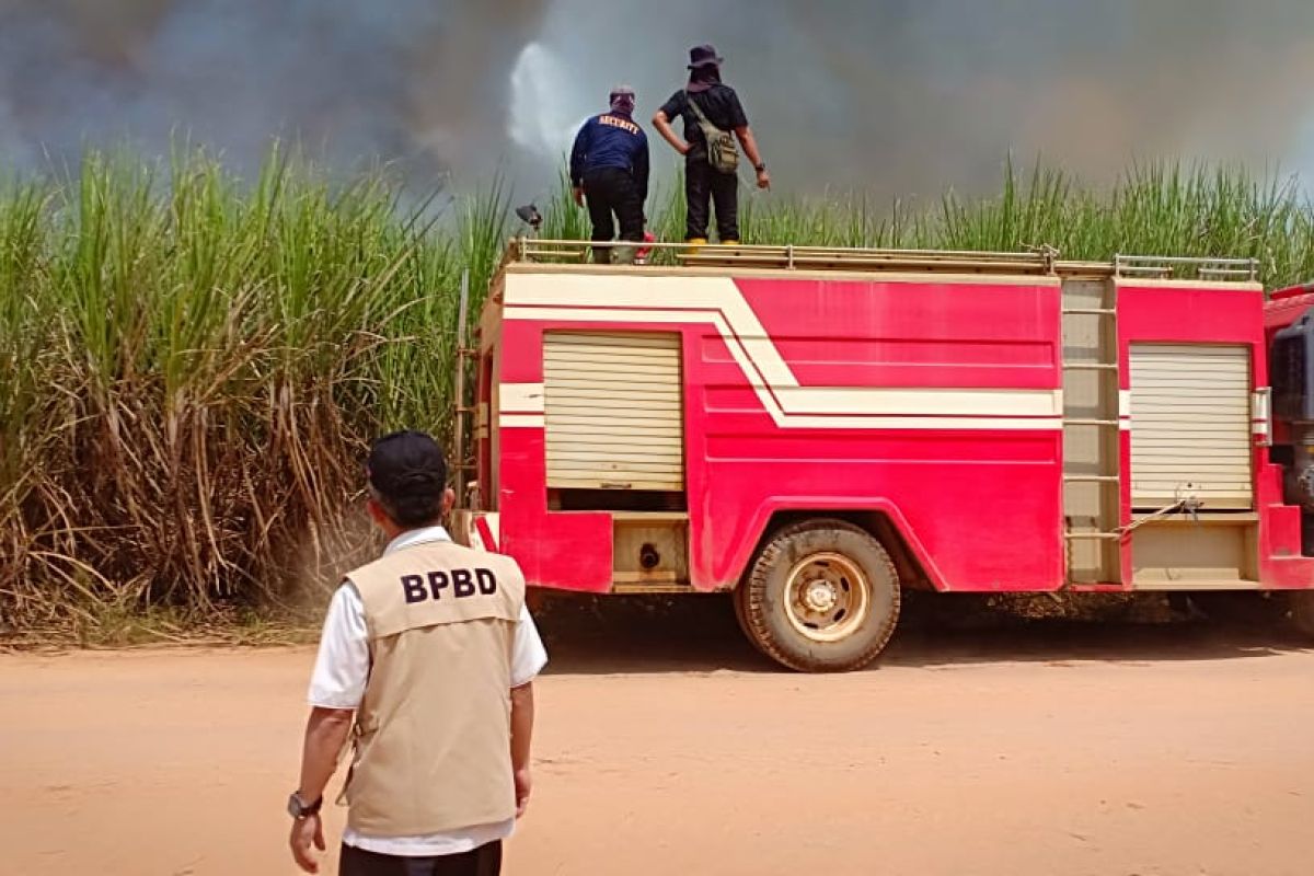 Lahan tebu PT LPI terbakar  tiga kali dalam sebulan