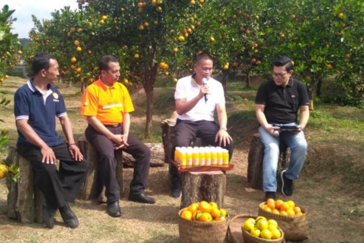 Kementan dorong petani jeruk terapkan teknologi panen sepanjang tahun