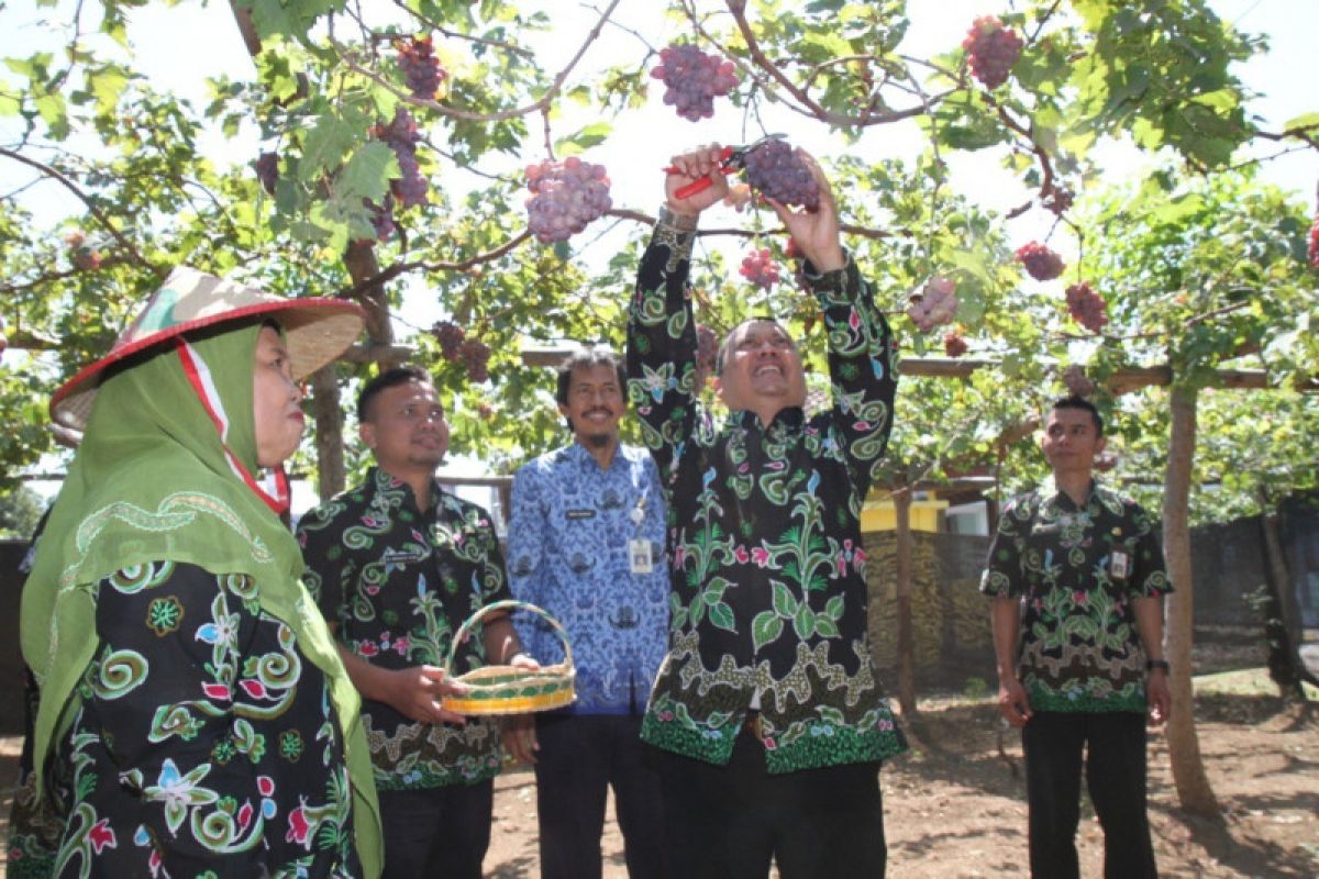 Pemkot Probolinggo gali potensi produk unggulan dan pertanian