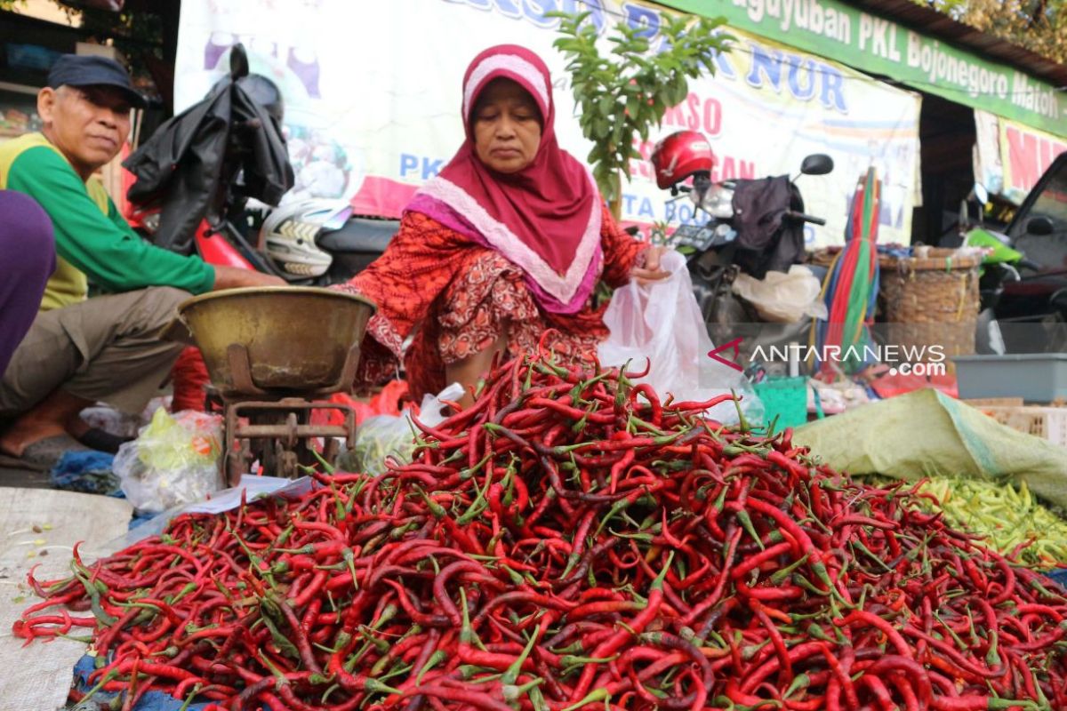 Harga cabai merah di Baturaja tembus Rp100 ribu per kilogram