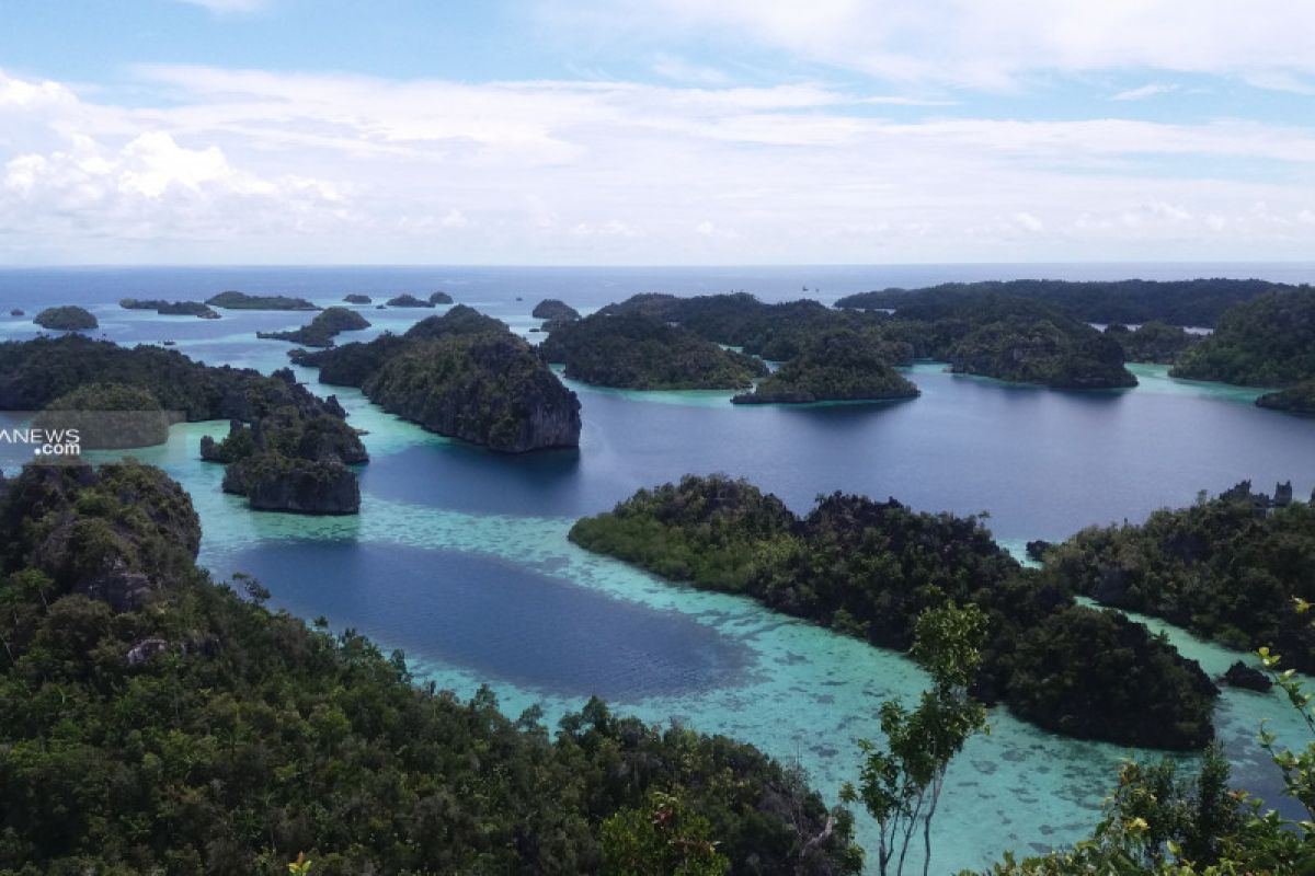 Jayapura adopsi konsep pariwisata Raja Ampat