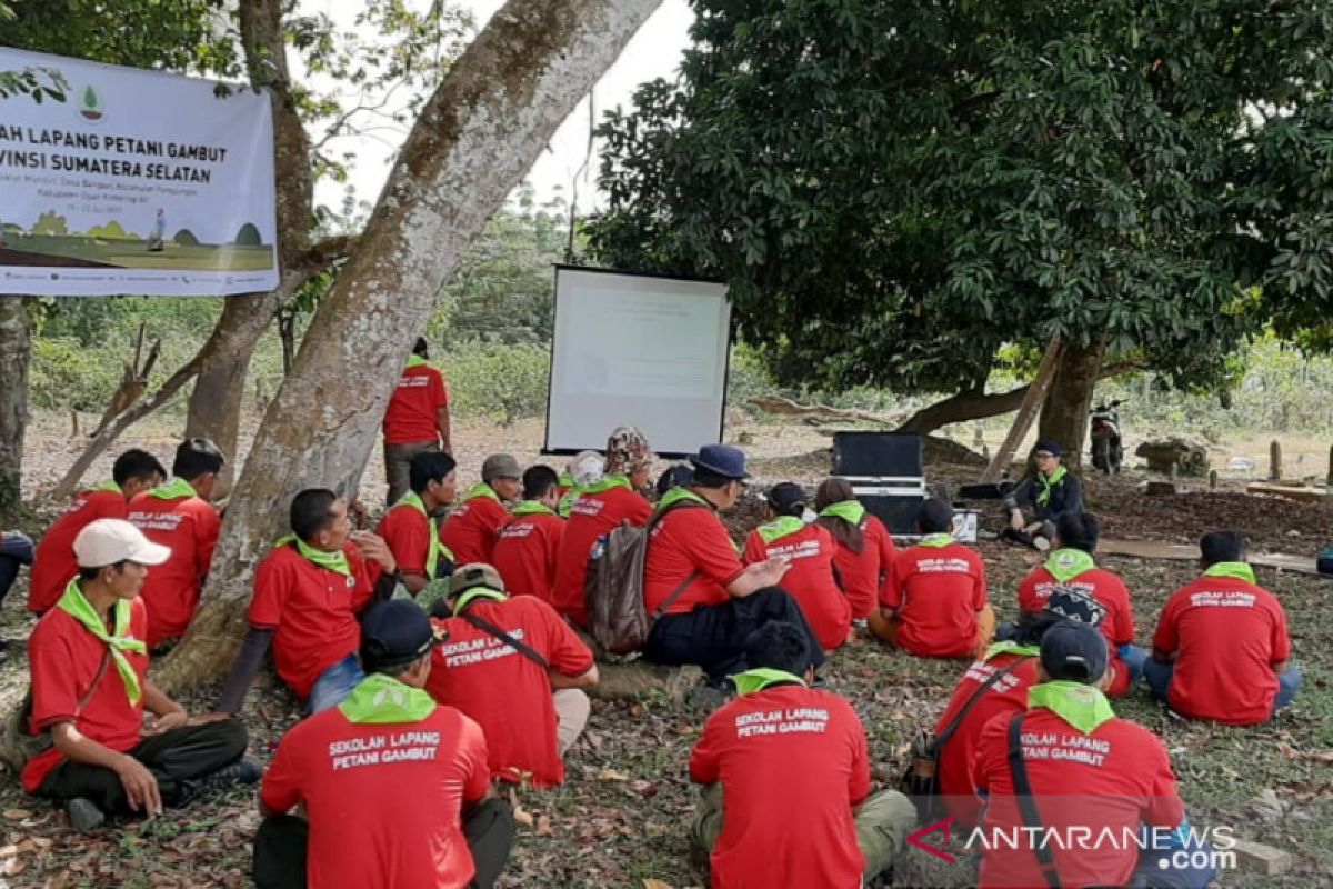 Sekolah lapang atasi kebakaran lahan gambut digelar BRG di Sumsel