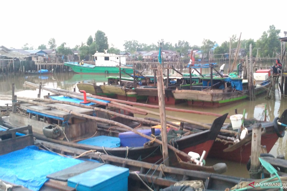 Nelayan trawl resahkan nelayan karena rusak jaring udang kipas