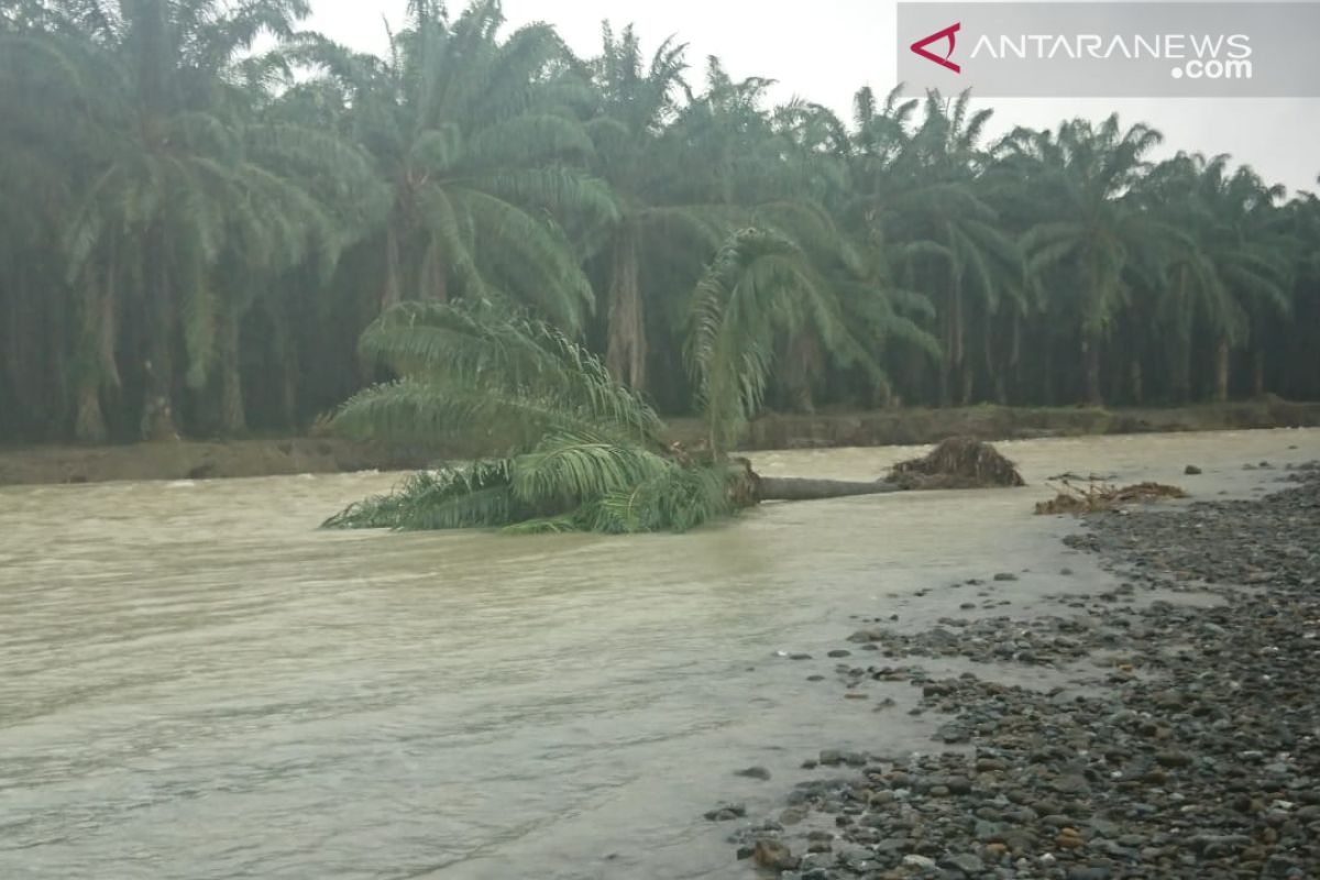 Aktivis : Pemerintah-Korporasi harus tanggungjawab banjir di Banggai