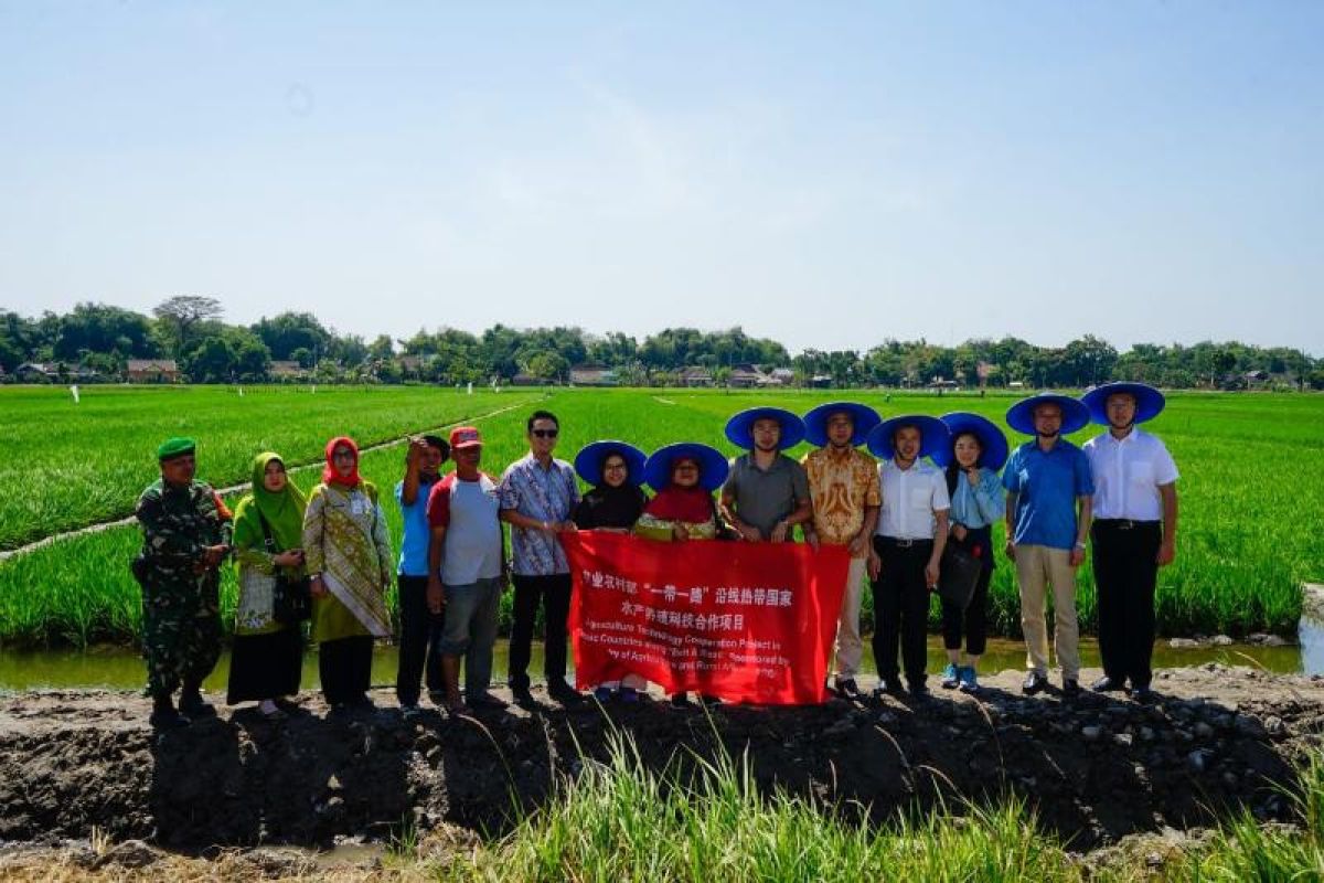 FFRC China tertarik pelajari sistem minapadi Indonesia