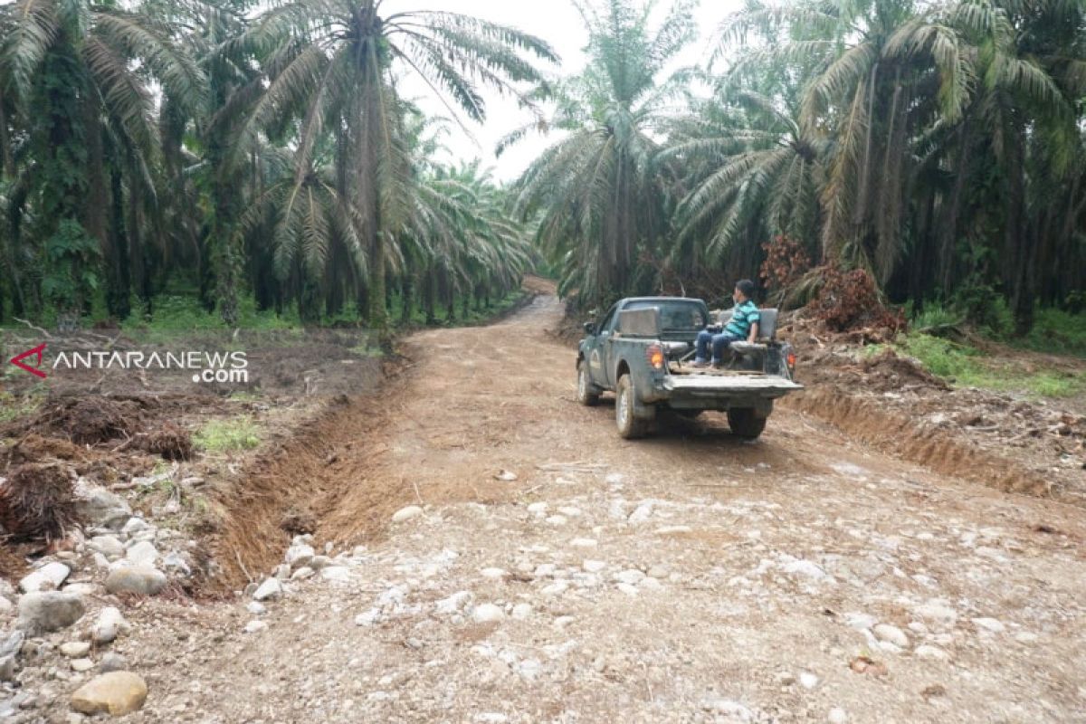 Tanpa ganti rugi, warga Desa Hutaraja Lamo relakan lahan sawit untuk jalan