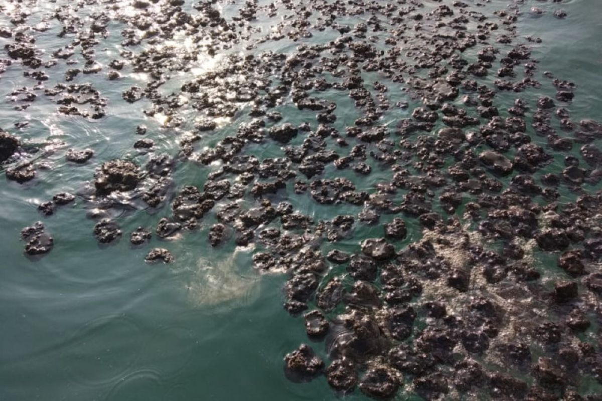 Warga gotong-royong bersihkan tumpahan minyak mentah di bibir pantai