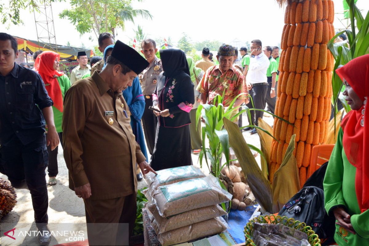 Hari Krida Pertanian ke-47 dimeriahkan penampilan hasil pertanian dan teknologi