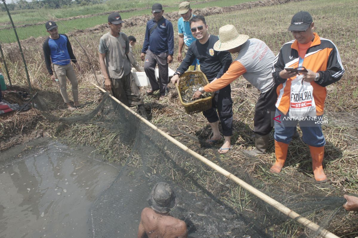 Video-Meriahnya tradisi warga Binjai Pemangkih membuka sumur menangkap ikan