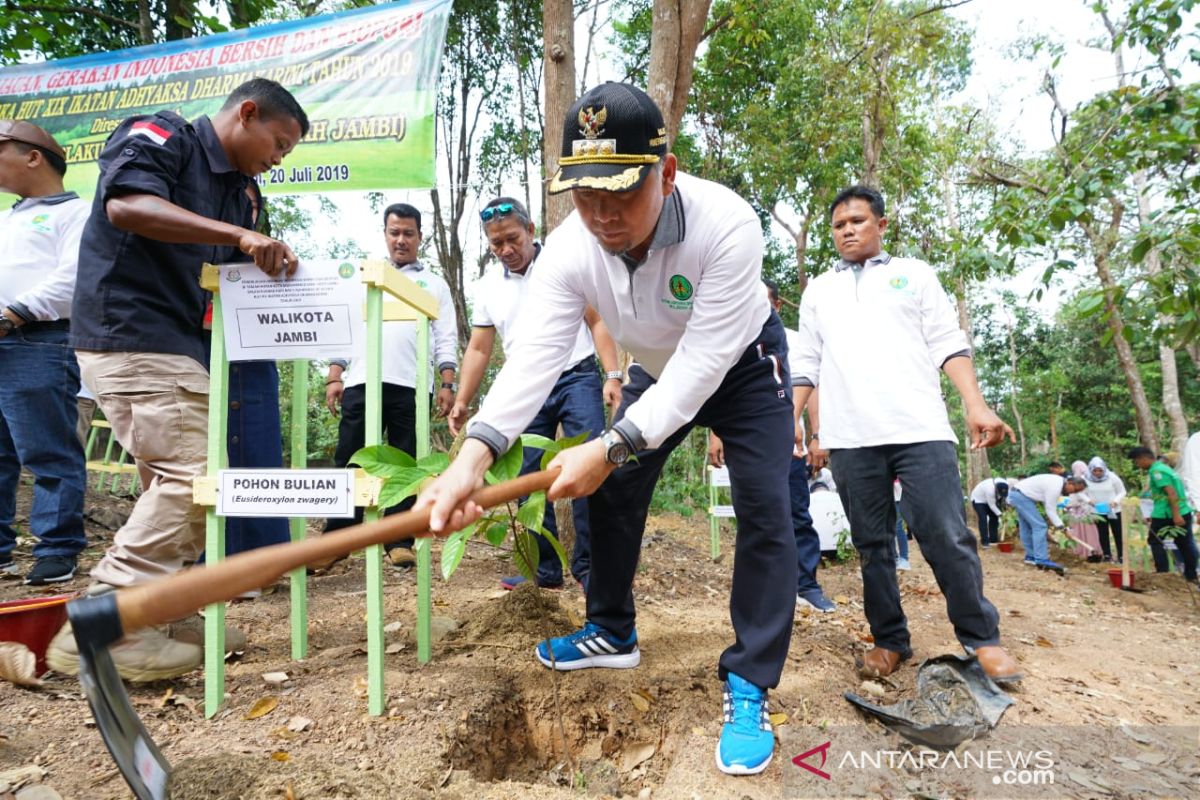 Penghijauan dan biopori di Kota Jambi bagian optimalkan resapan air