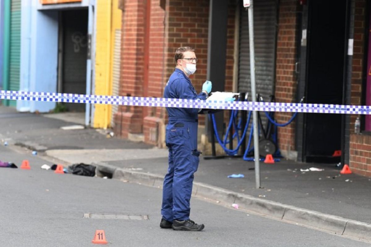 Pengemudi ceroboh tuntun polisi ungkap narkoba bernilai jutaan dolar di Sydney