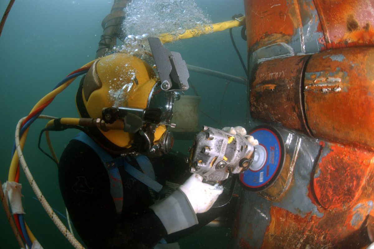 Pertamina-WASI dukung edukasi biota bawah laut nasional