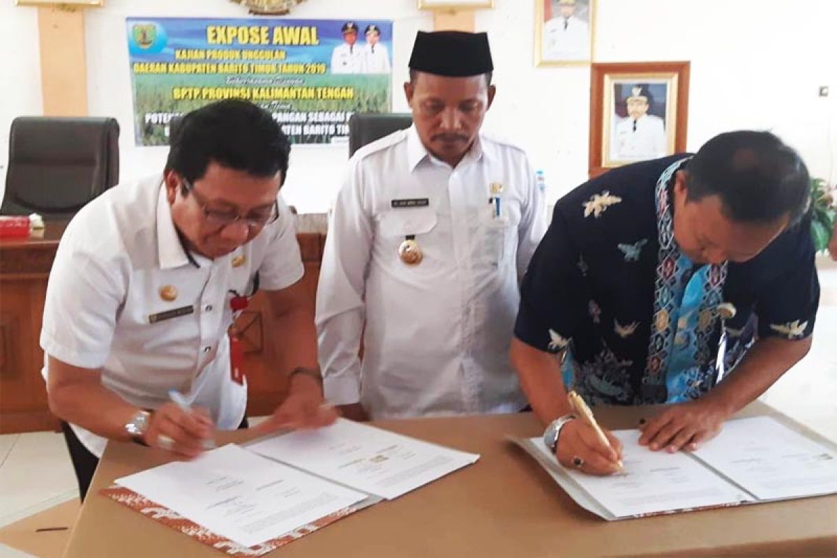 Pemkab Bartim gandeng BPTP Kalteng kembangkan padi lokal