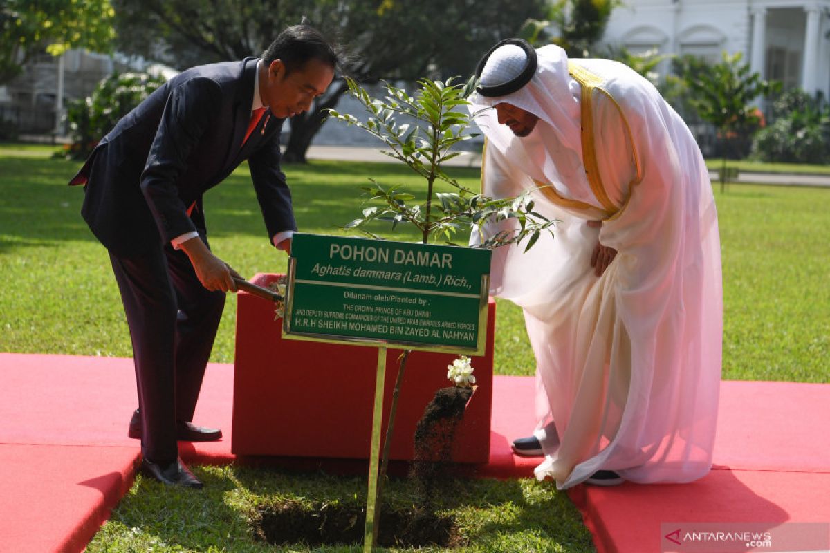 Crown Prince's visit bolsters partnerships between Indonesia, UAE