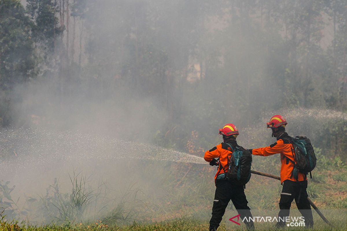 Perusahaan industri kehutanan ini dampingi 7.000 KK di Riau cegah Karhutla