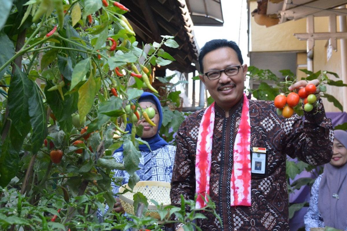 Yogyakarta mendorong kampung sayur ikut andil kendalikan inflasi