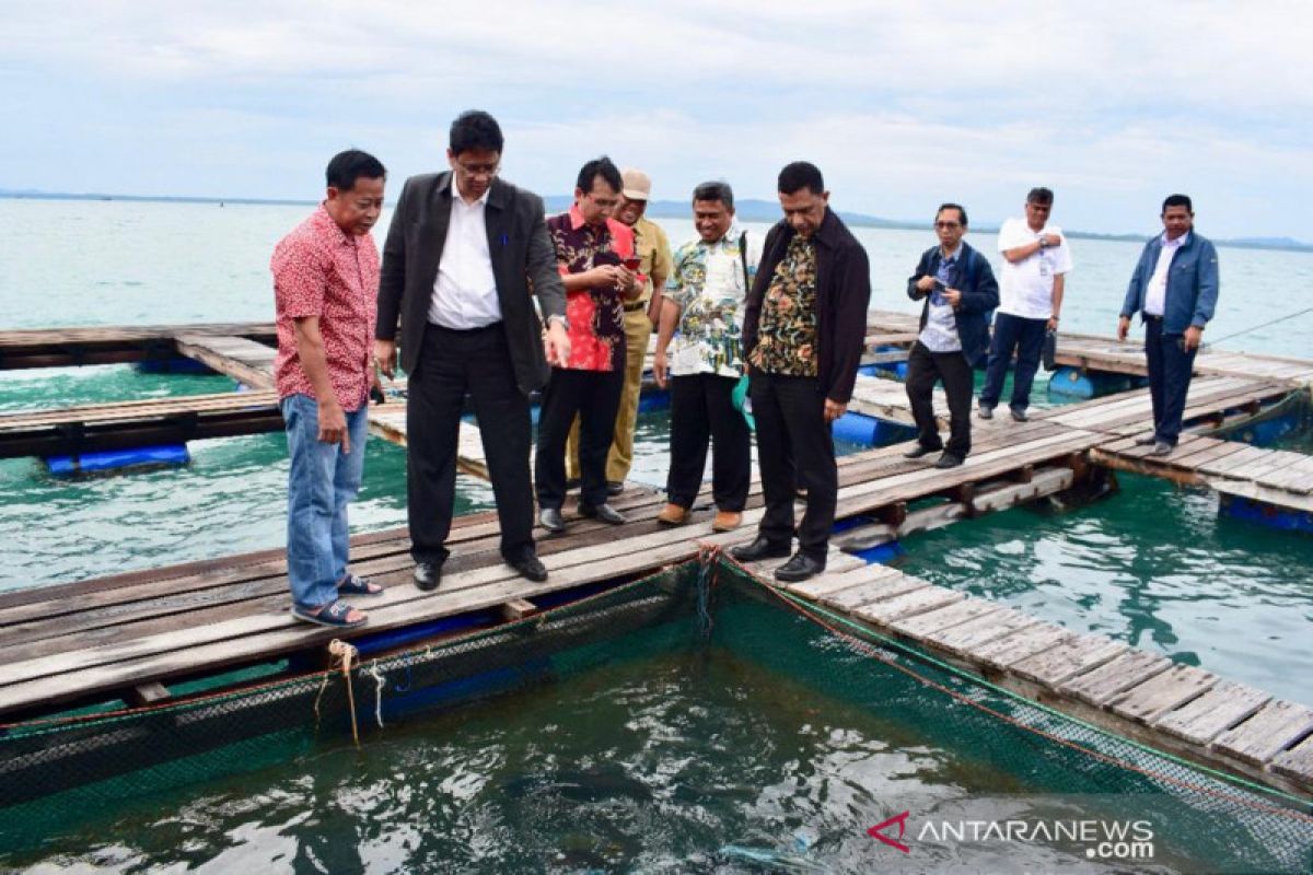 Kemenko Maritim identifikasi pembangunan di Natuna