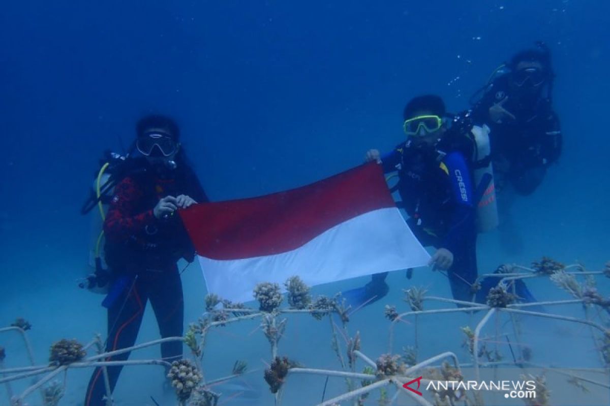 Taman Nasional Kepulauan Togean transplantasi ribuan karang