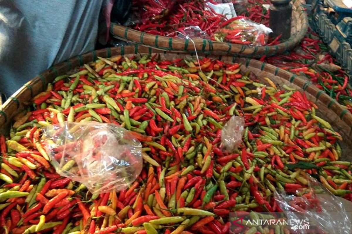 Harga cabai rawit merah melonjak tembus Rp78.000/Kg