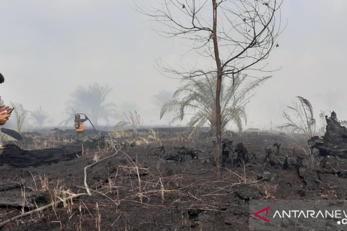 30 hektare lahan di Siak terbakar sepekan terakhir