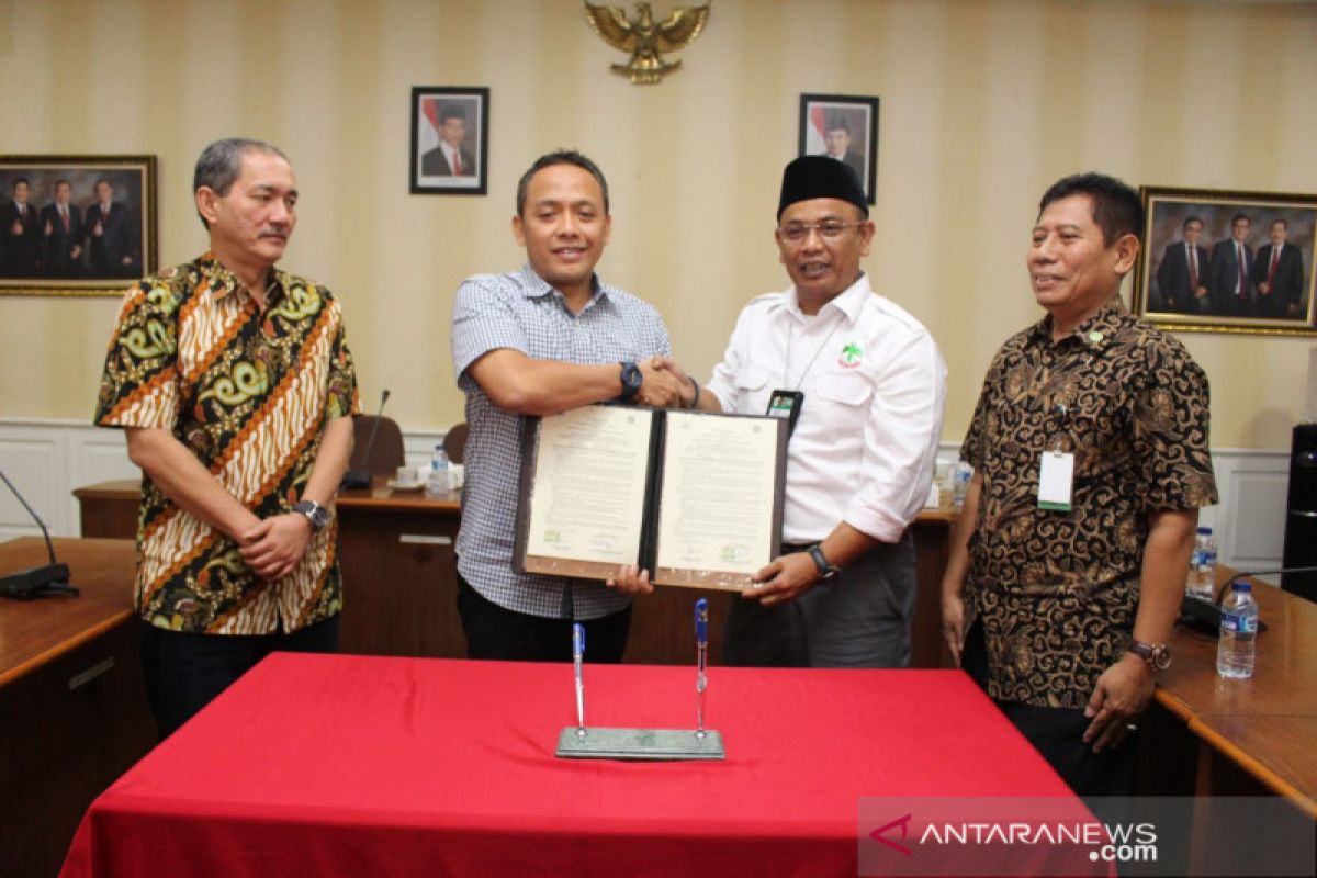 PTPN V gandeng APKASINDO akselerasi peremajaan sawit rakyat