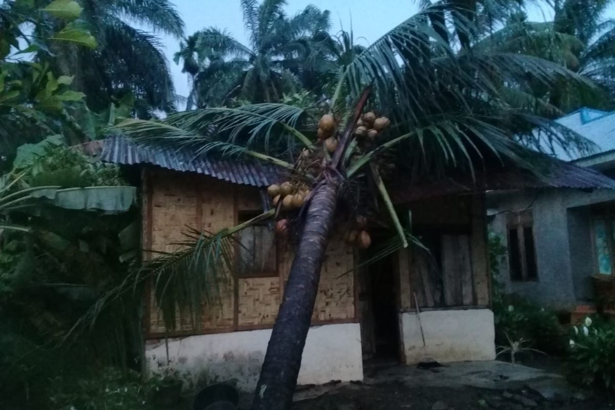 Belasan rumah warga di Langkat diterjang puting beliung