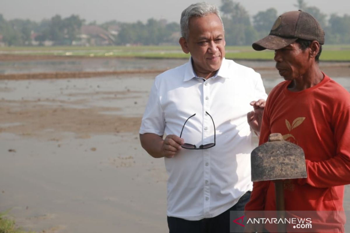 PJT II optimalkan pengelolaan pasokan air untuk sawah selama kemarau