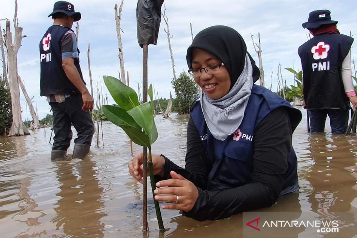 PMI berkomitmen jaga kelestarian hutan mangrove Indonesia