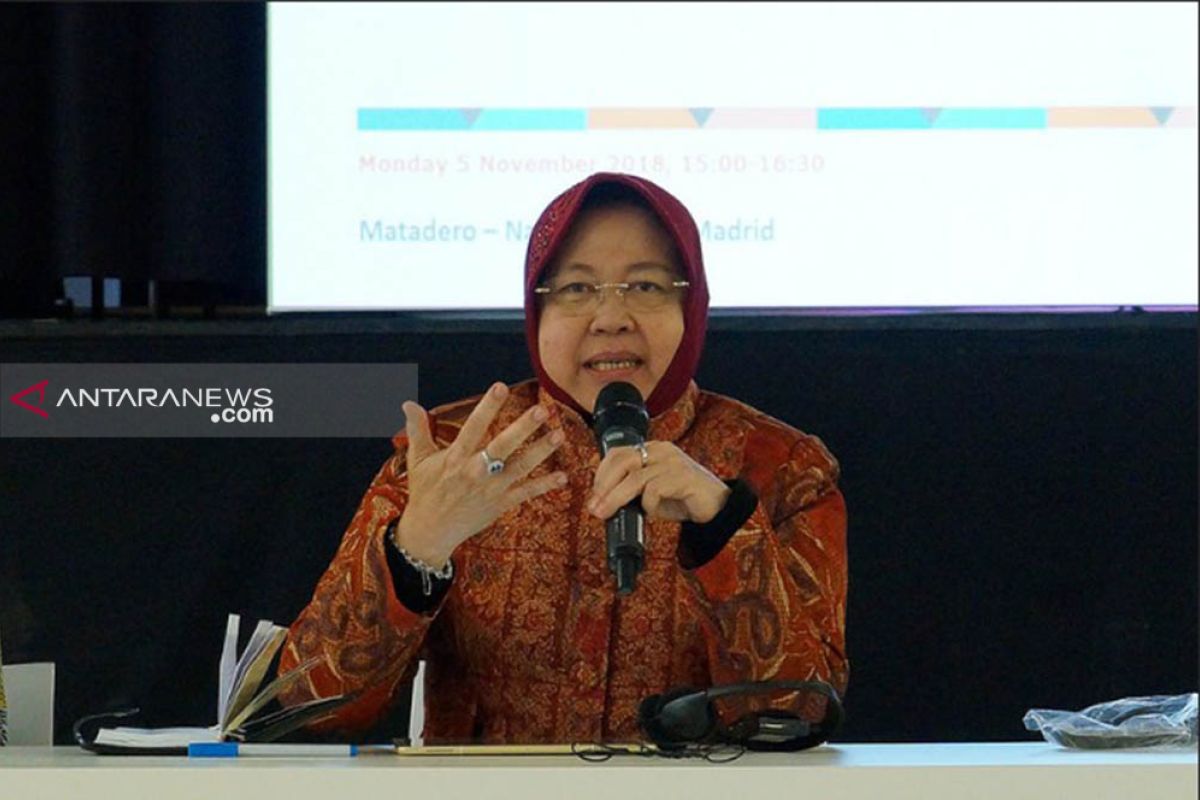 Risma: Konservasi hutan mangrove atasi permasalahan lingkungan di Surabaya