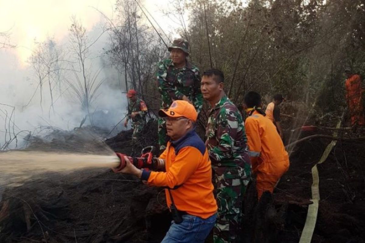 Pemerintah upayakan pemanfaatan lahan gambut