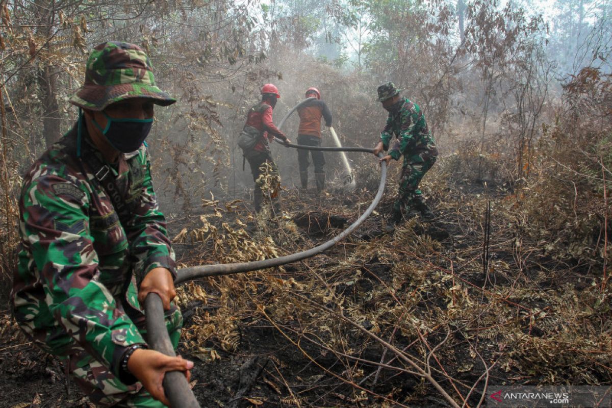 Pemadaman kebakaran lahan di Riau terkendala sumber air yang mengering