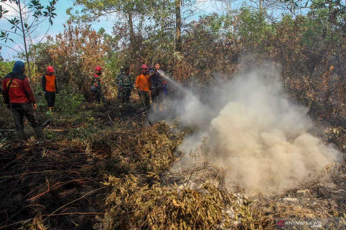 Jumlah titik panas di Provinsi Riau melonjak jadi 53