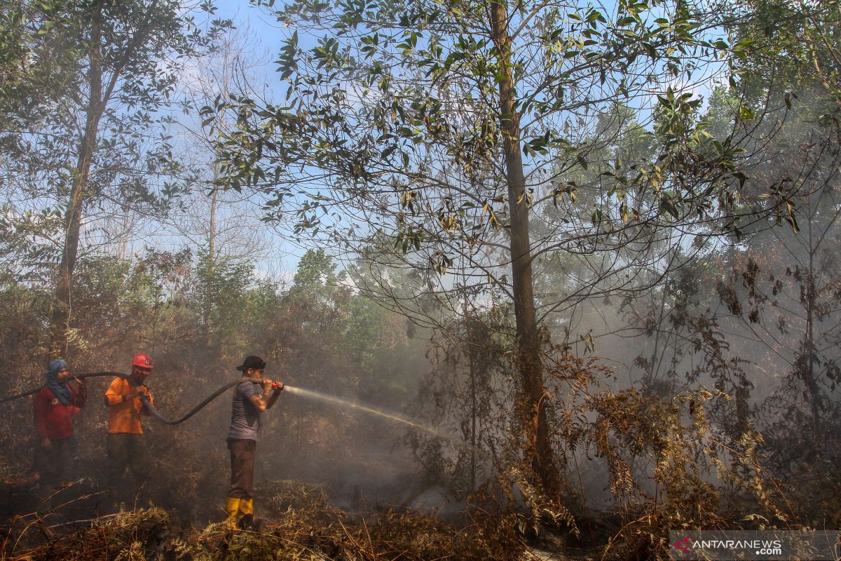 Waduh, pemadaman kebakaran lahan di Riau terkendala sumber air mengering