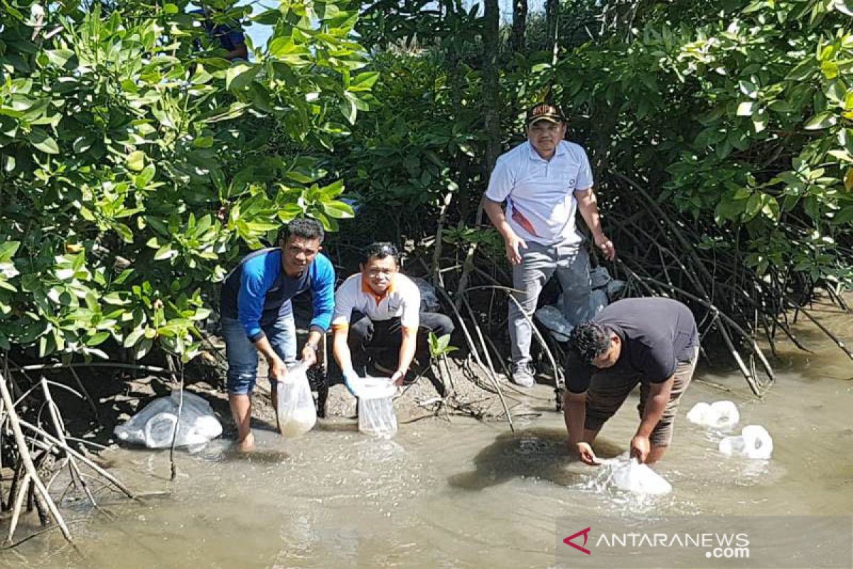 BKIPM tebar 200 ribu benih udang windu di Alue Naga