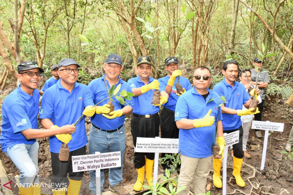 Chevron mulai program pengembangan pengelolaan pesisir terpadu di Riau