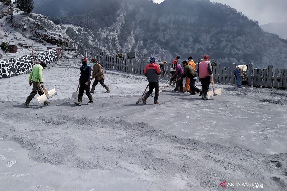 Ratusan petugas taman wisata Tangkuban Parahu bersihkan abu vulkanik pascaerupsi