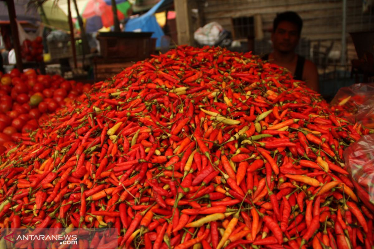 Harga cabai rawit di Ambon Rp100.000 per Kg